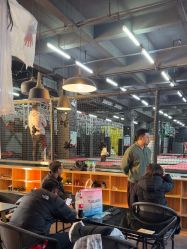 -零重力蹦床空间·滑梯·海洋球·团建(奥特莱斯店)