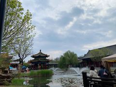 -曹州牡丹园