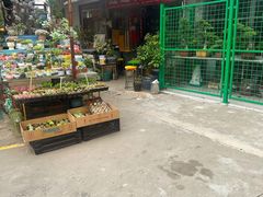 -平吉花卉市场