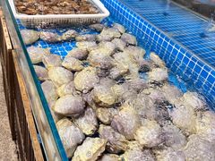 -文儒九号·闽菜馆(三坊七巷店)