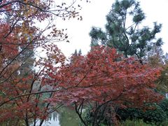 -桃花岛公园