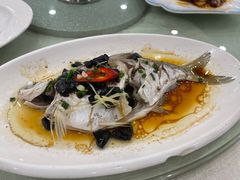 榄角蒸鳊鱼-姚林轩