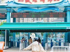 -海合安成都极地海洋公园