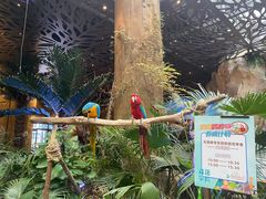 -杭州开元森泊度假乐园