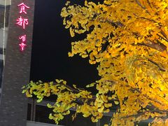 -凤城·食都