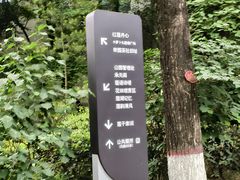 -雕刻时光咖啡馆(南院门店)