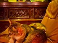 -城墙外BAR