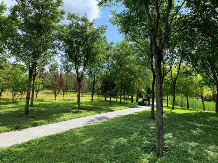 船营公园-"在这附近断断续续住了这么久上个月总算趁着.