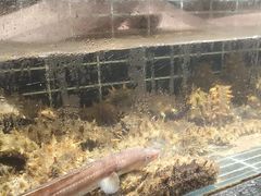 -浩运海鲜·16年专注青岛菜(石老人店)