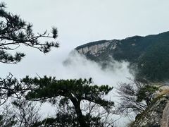 -庐山风景区花径公园