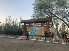 -白洋淀景区