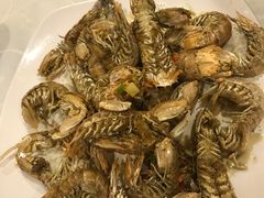 -吉源大排档·鱼生·海鲜(烧烤彩印厂店)