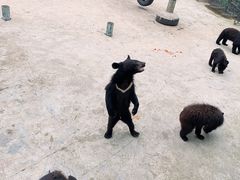 -西安秦岭野生动物园