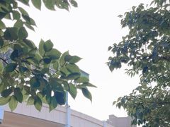 -天泰体育场
