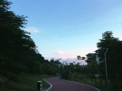 -飞凤山奥体公园