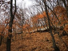 -帽儿山国家森林公园