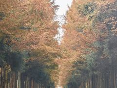 -山王坪喀斯特国家生态公园