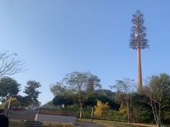 -红花山公园