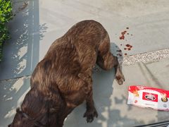 -酷宠动物医院(天通西苑店)