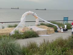 -上海吴淞炮台湾国家湿地公园