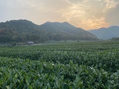 -听风阁农家私房菜茶楼(龙坞店)