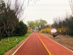 -大兴滨河森林公园