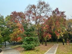 -国家植物园南园