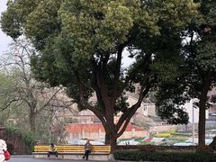 -太子山公园(园东路)