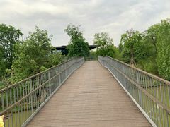 -白鹭湾湿地公园