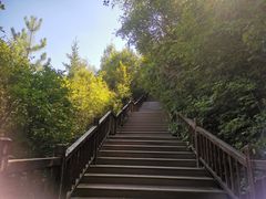 -鼎泰中汇广场