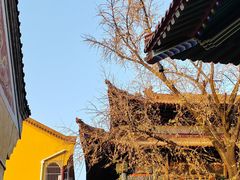 -宝通禅寺