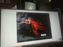 -帆拉斐婚纱摄影(春熙店)