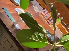 -薇酌饮·陕西菜(南门外店)