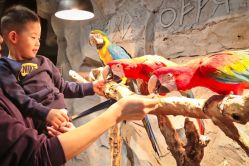 -Zoolung Zoolung动物主题公园(海信广场店)