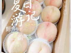 -老袁家蜜桃农场·阳山水蜜桃