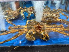 -七鲜超市(万向城店)