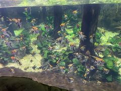 -南昌海洋公园