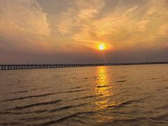 -宝安西湾红树林湿地公园