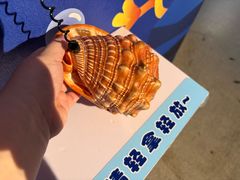 -温州博物馆