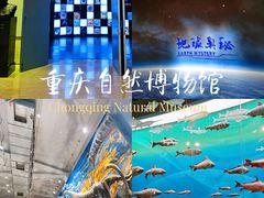 -重庆自然博物馆(新馆)