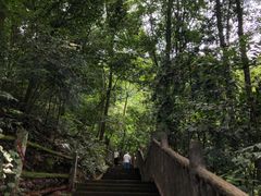 -乐山大佛风景名胜区乌尤寺南门-售票点