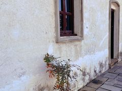 -青果巷历史文化街区