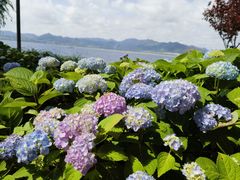 -东钱湖旅游度假区