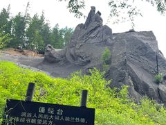 -峡谷浮石林景区