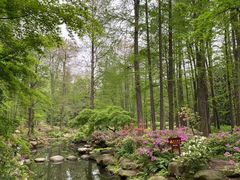 -上海共青森林公园