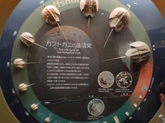 -西海国立公园九十九岛水族馆