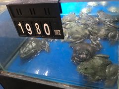 -卜蜂莲花(杨高南路店)