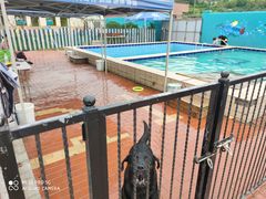 -趣玩宠物乐园寄养训犬训狗游泳池
