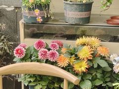 -泉乐坊步行街(烟酒特产平价超市店)