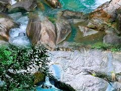 -广州白江湖森林公园